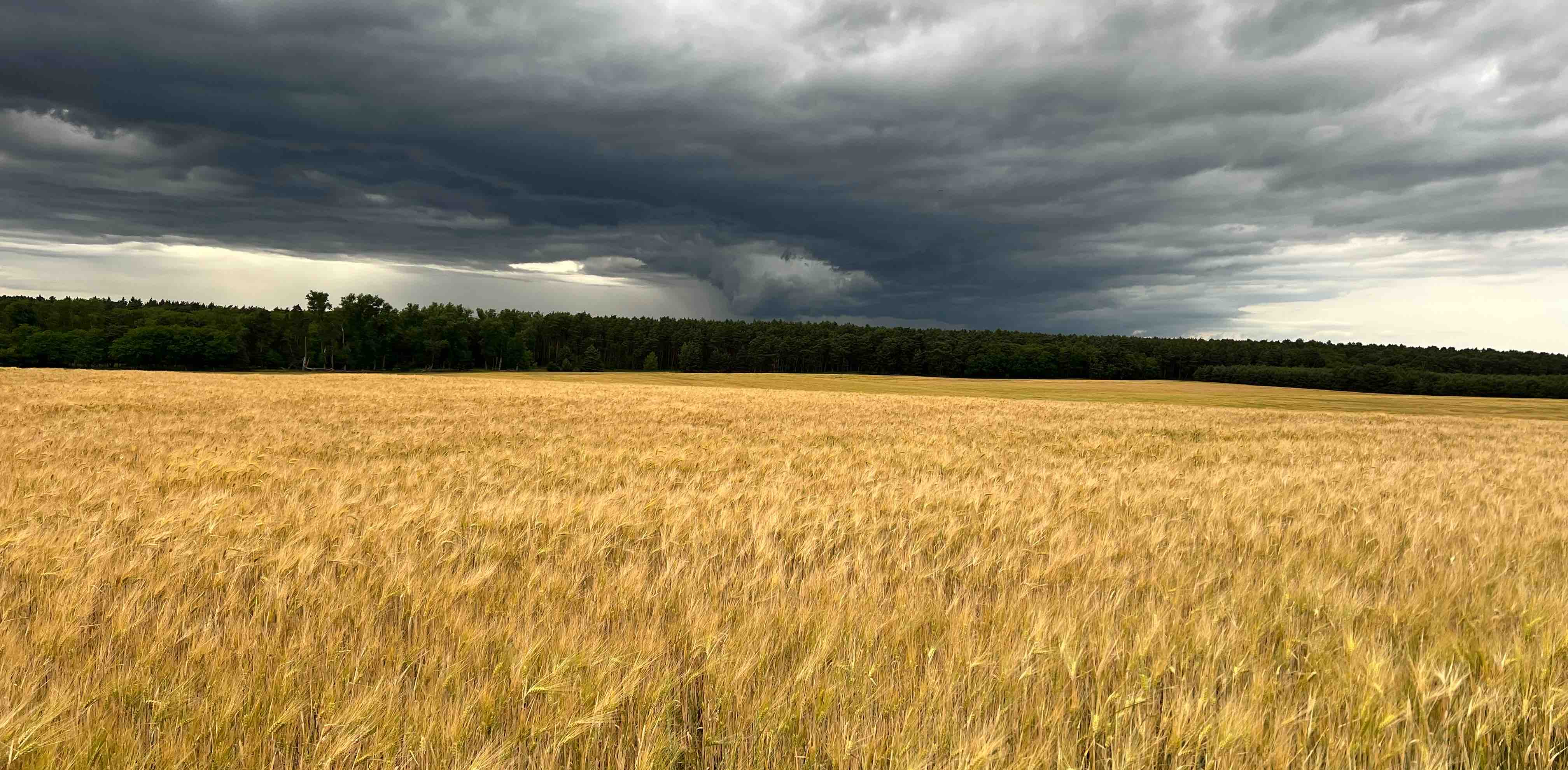 challenge background