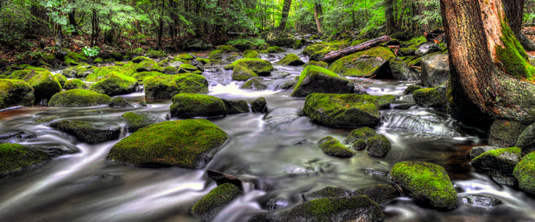 challenge background