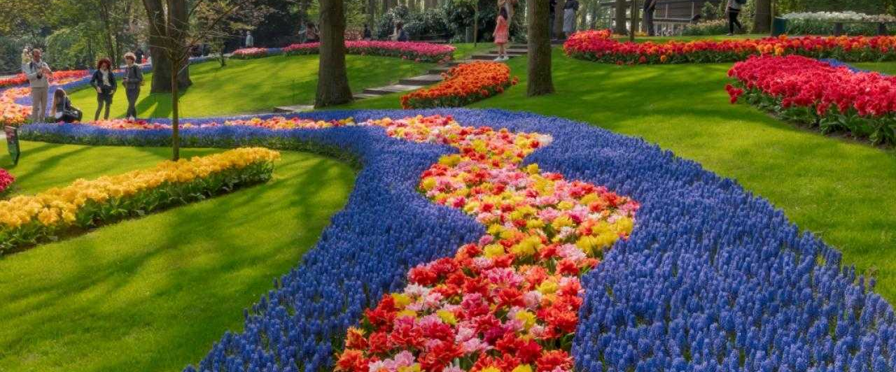 challenge background