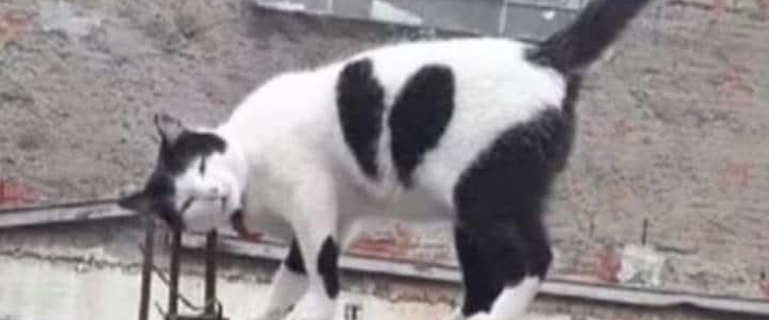 challenge background