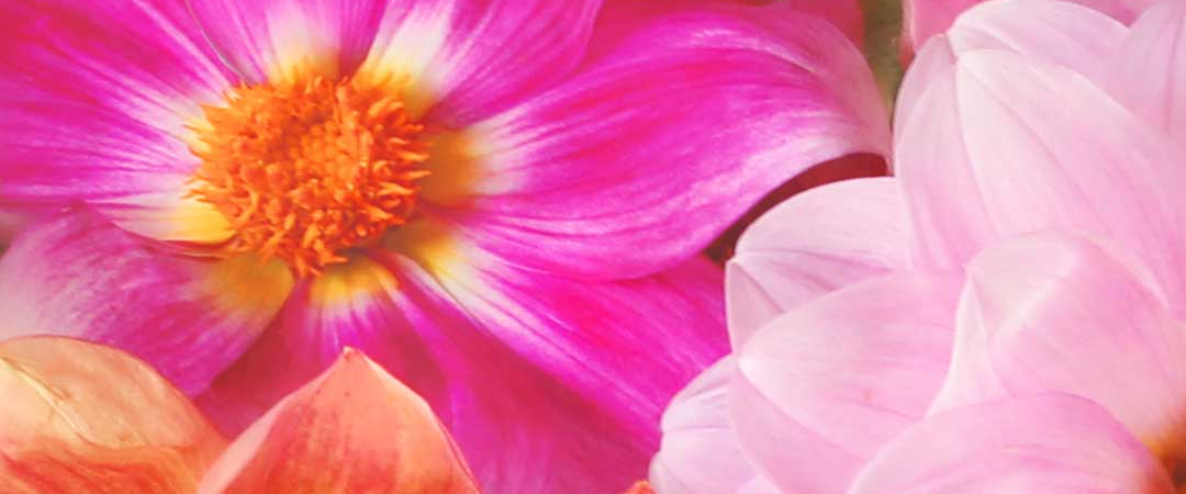 challenge background