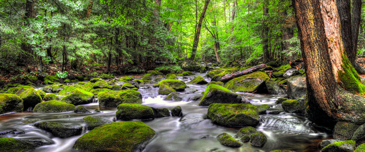 challenge background