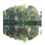 Healthy walks icon