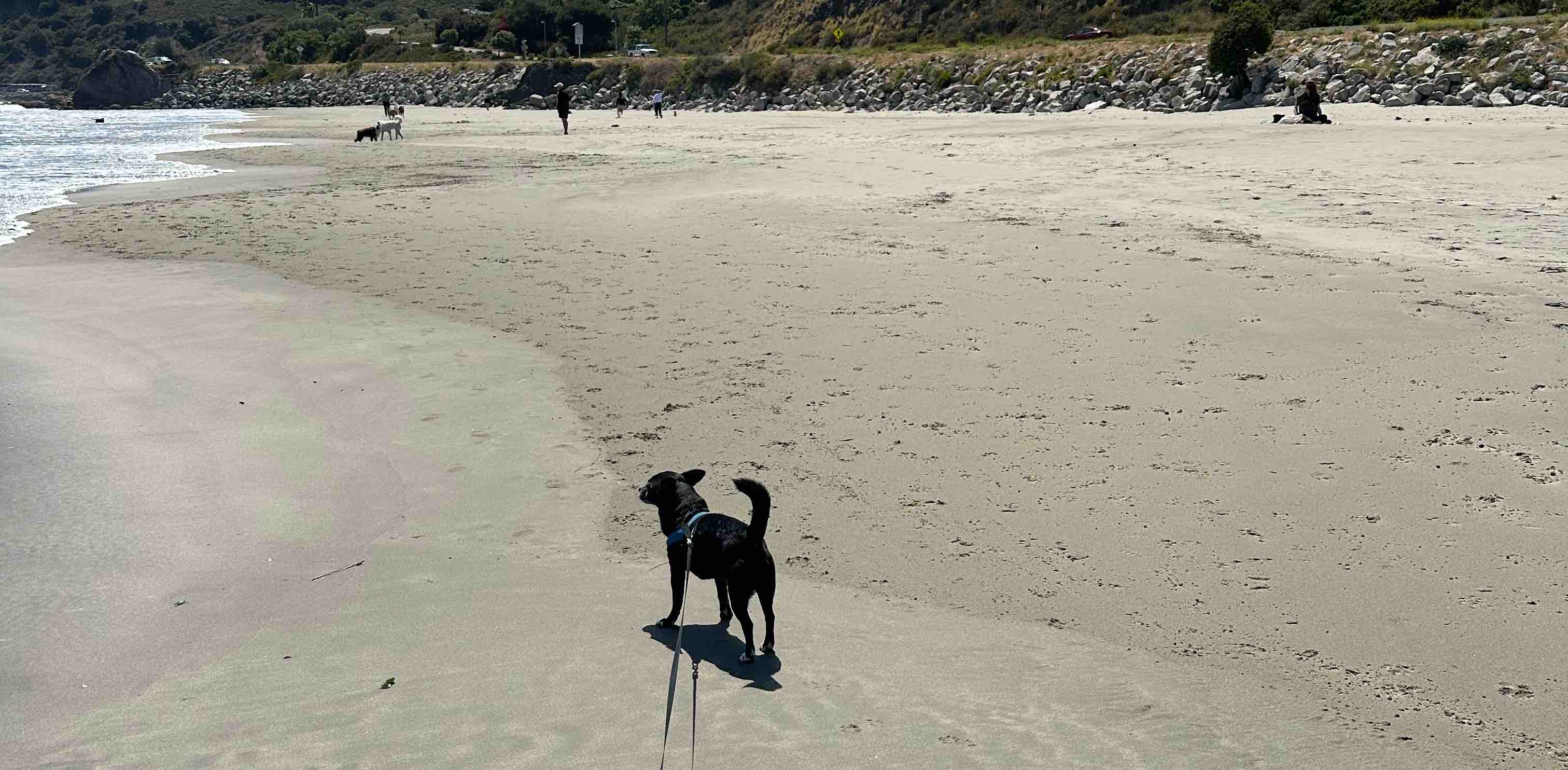 challenge background