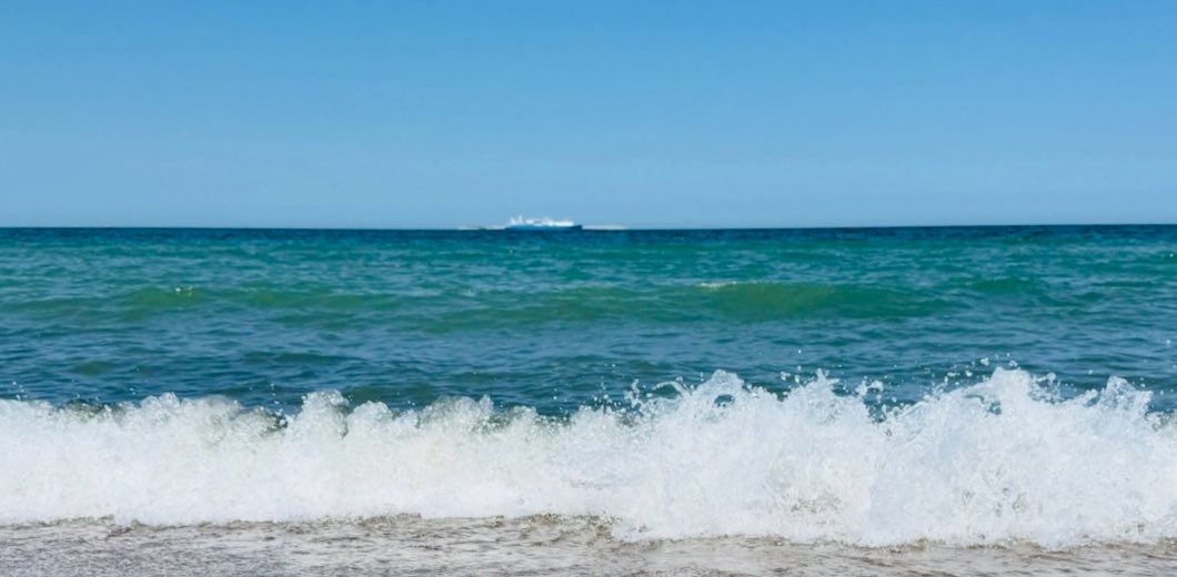 🔥ИЮЛЬ Хитрый Лис 🦊 July is a Sly Fox logo