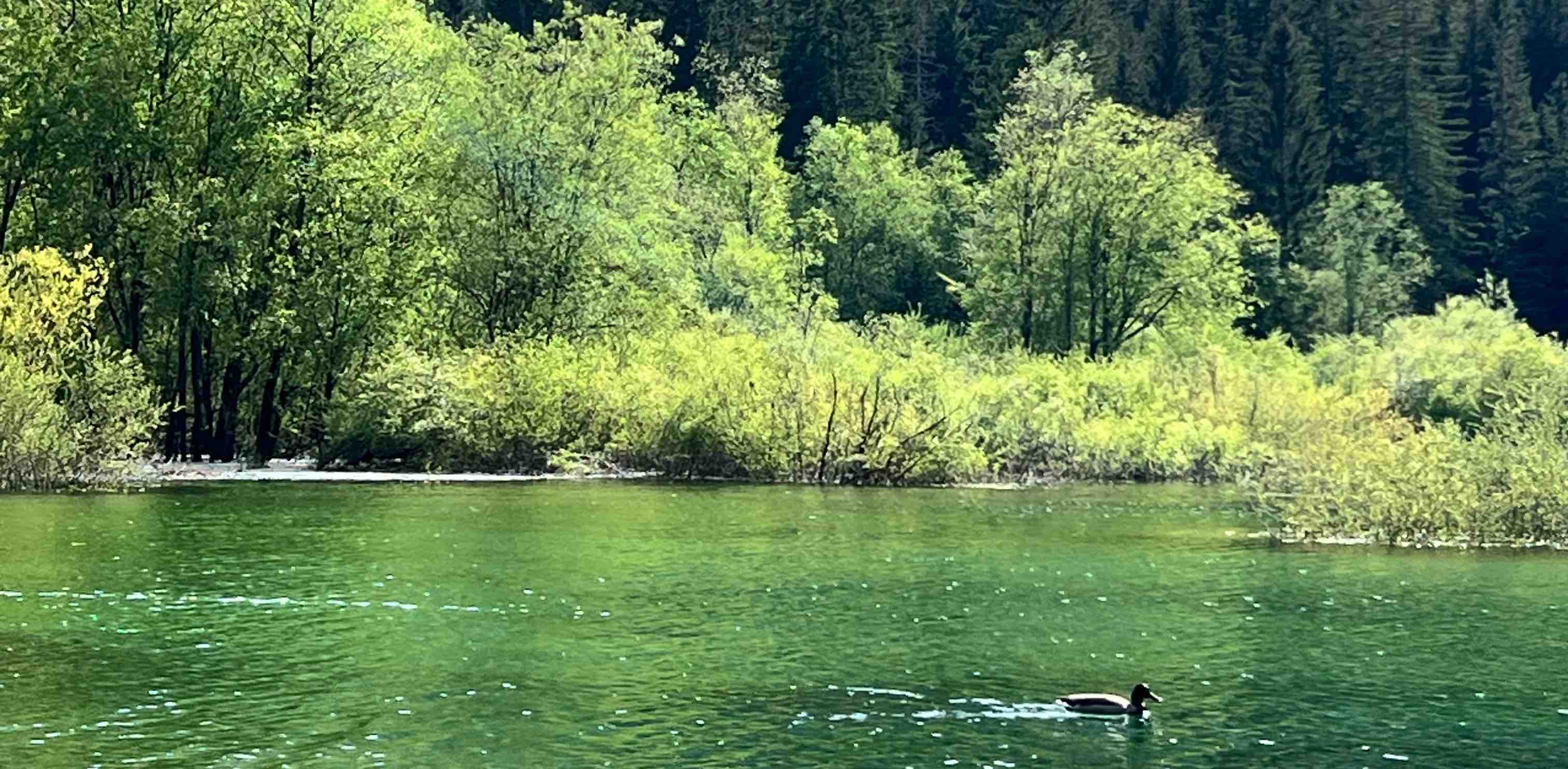 challenge background