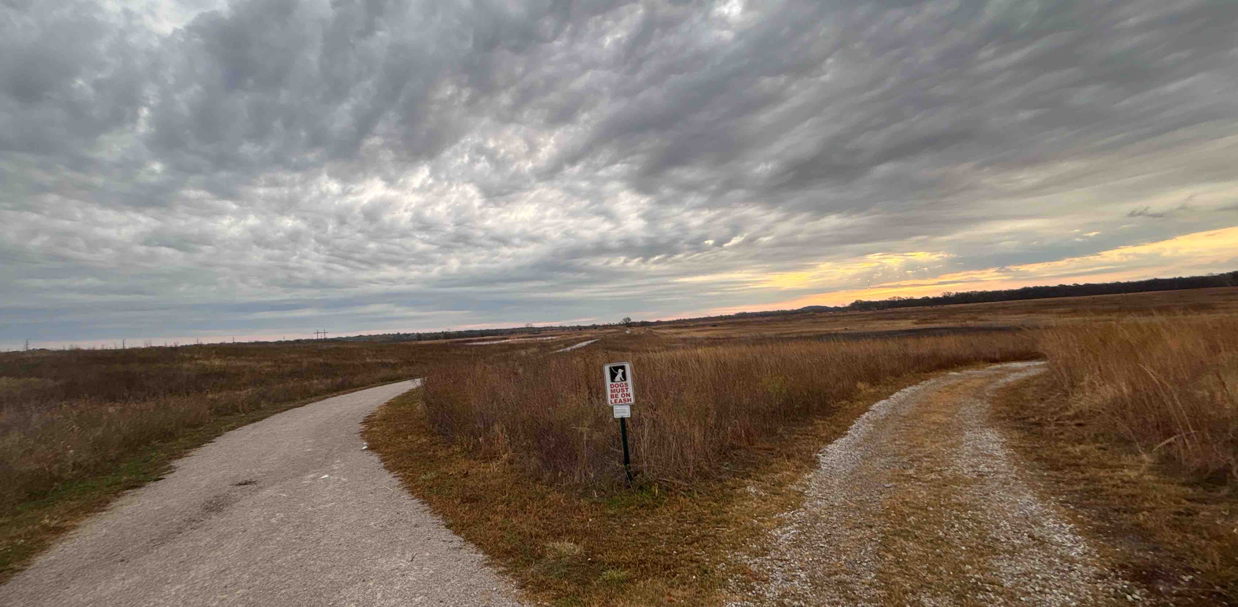 challenge background