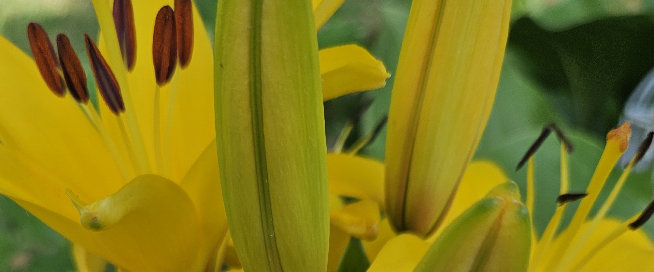 challenge background