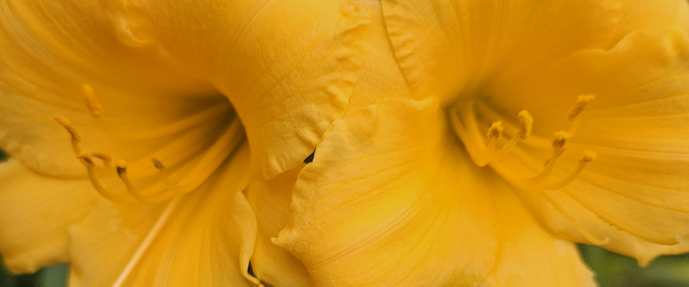 challenge background