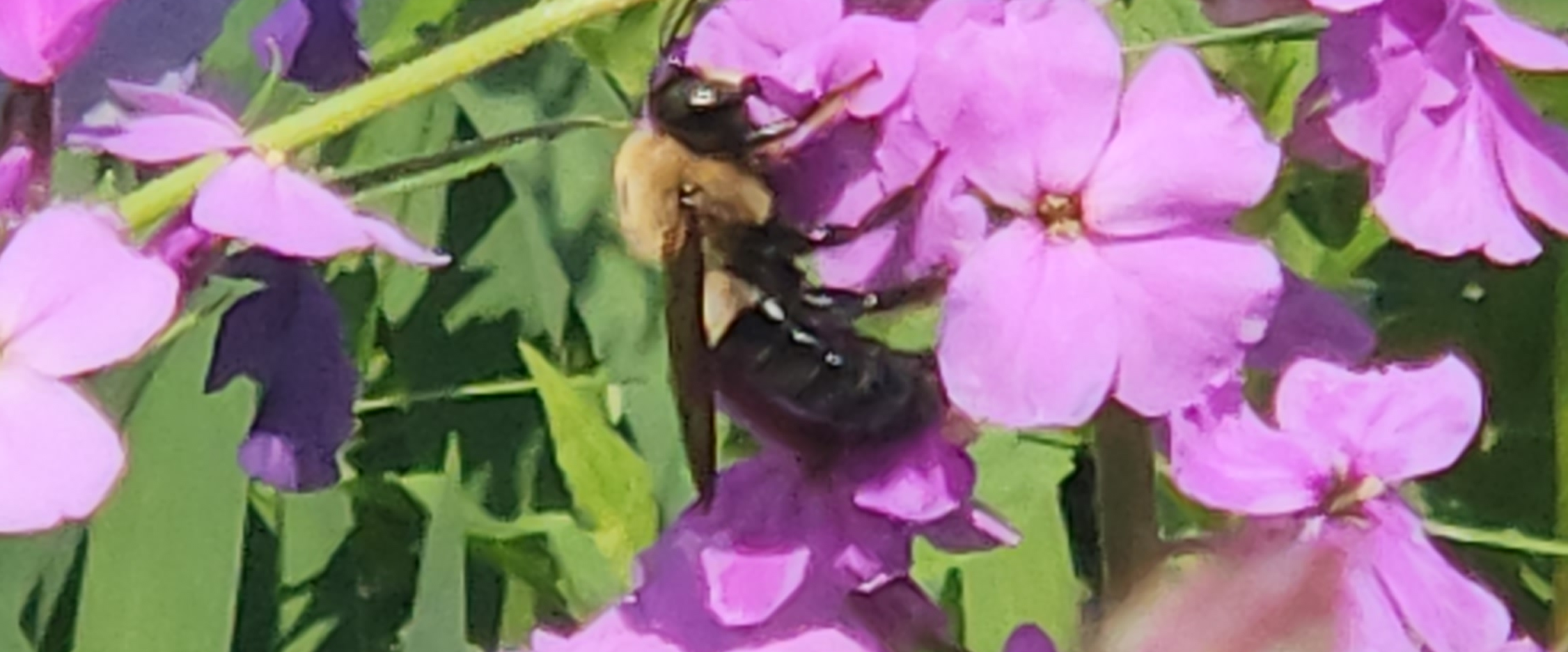 challenge background