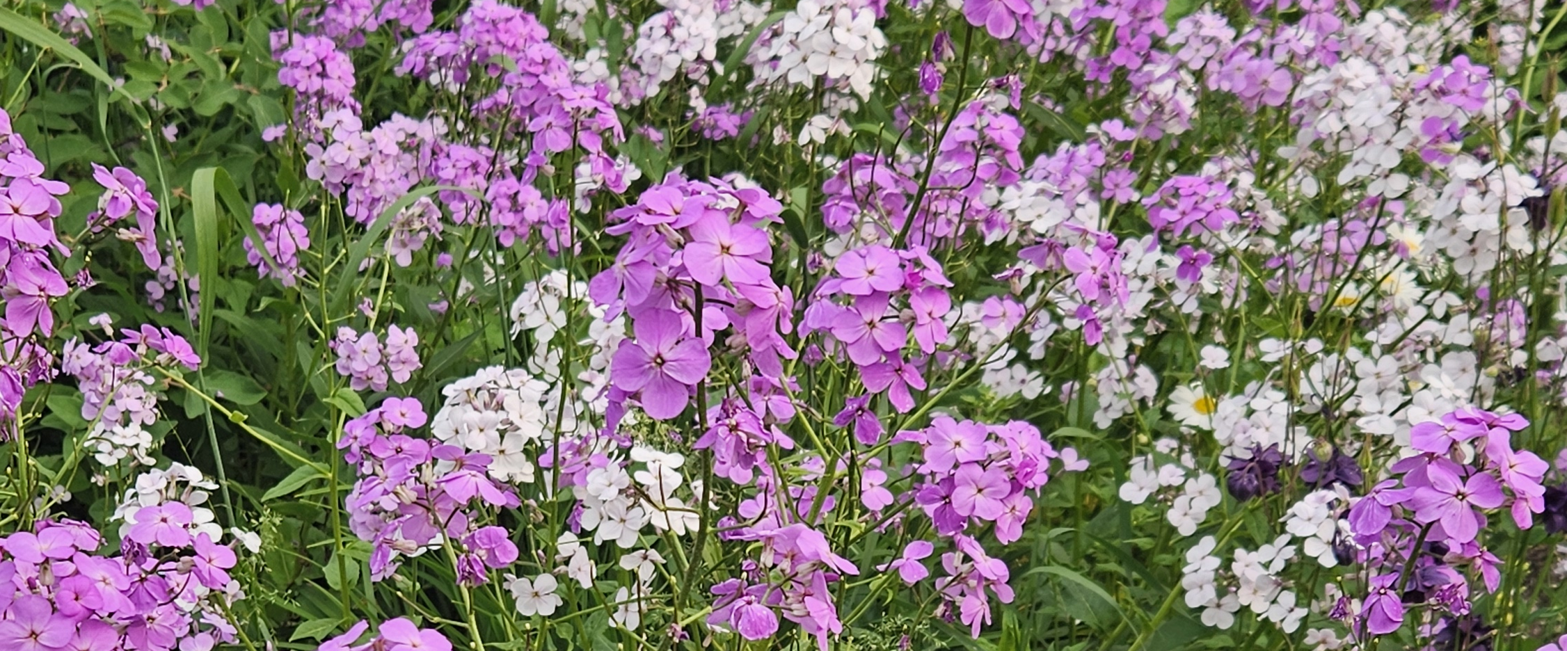 challenge background