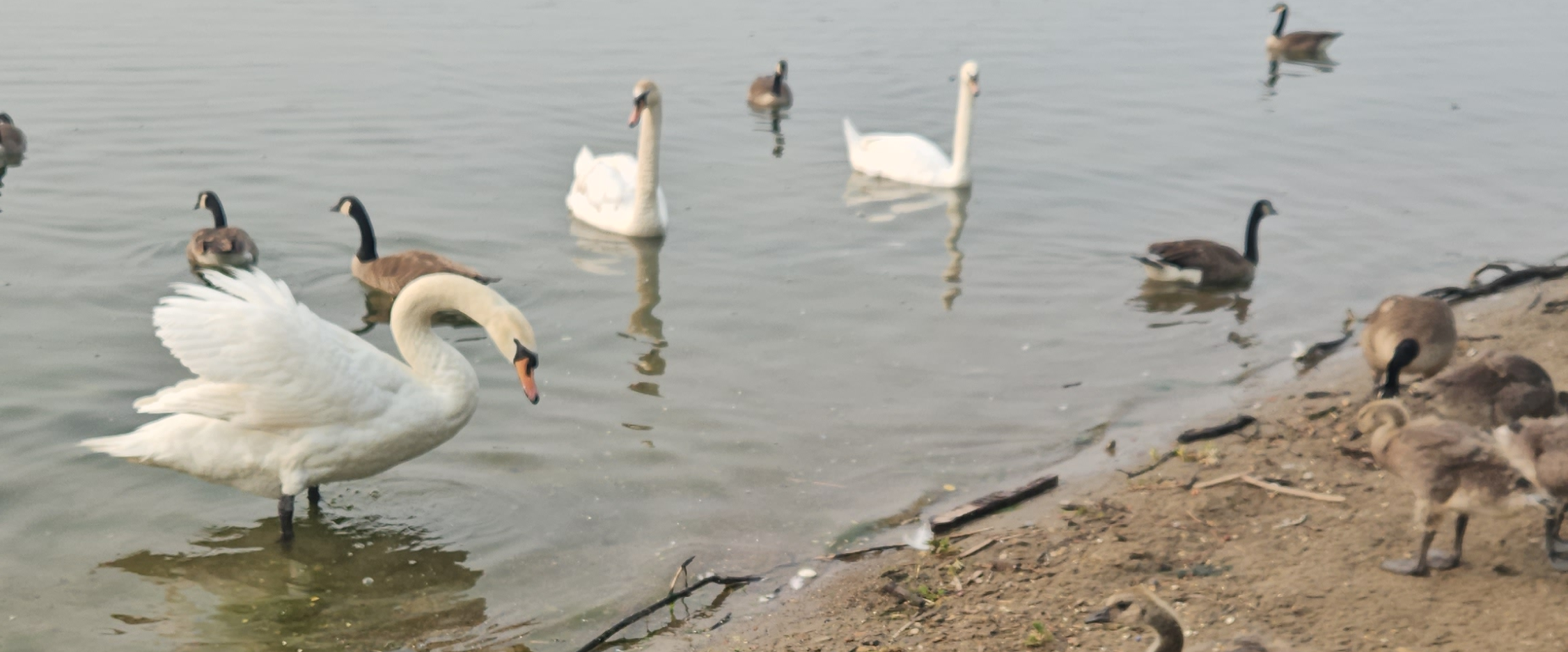 challenge background