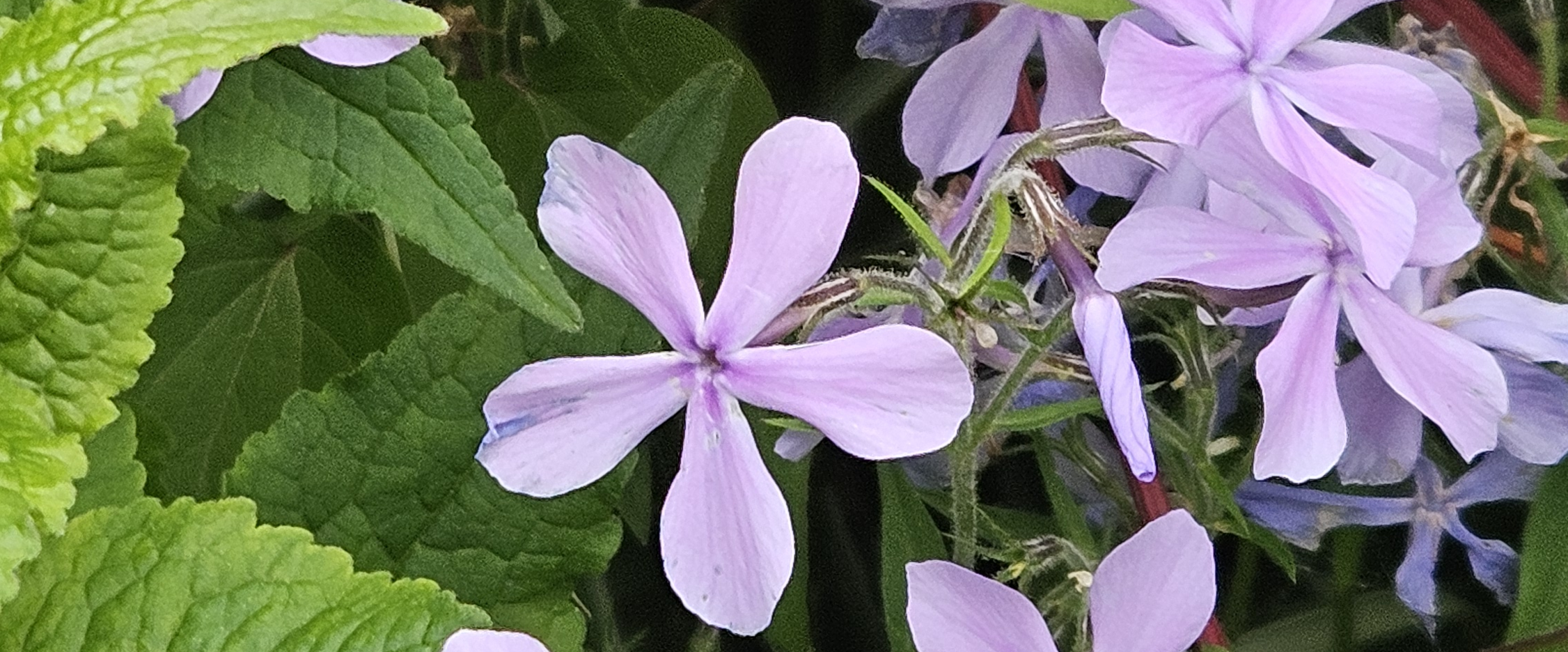 challenge background