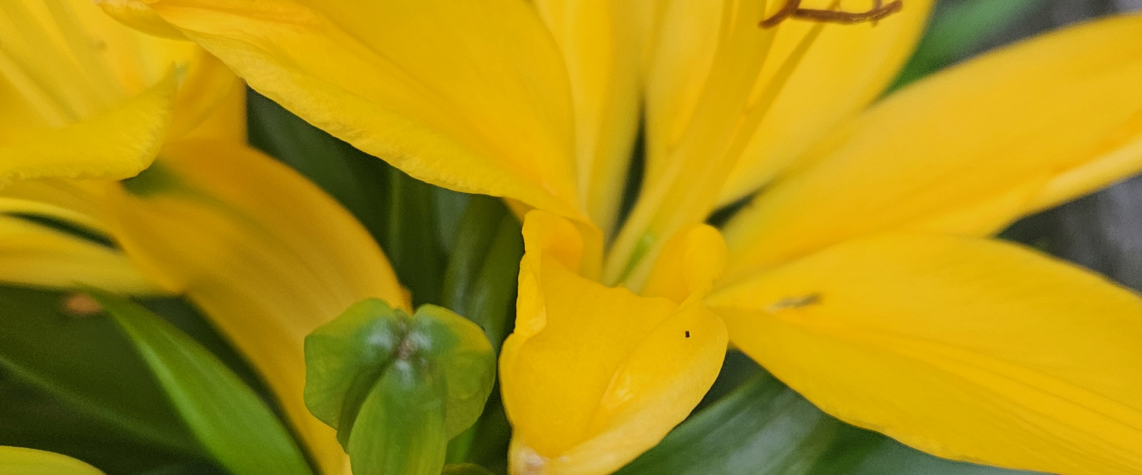 challenge background