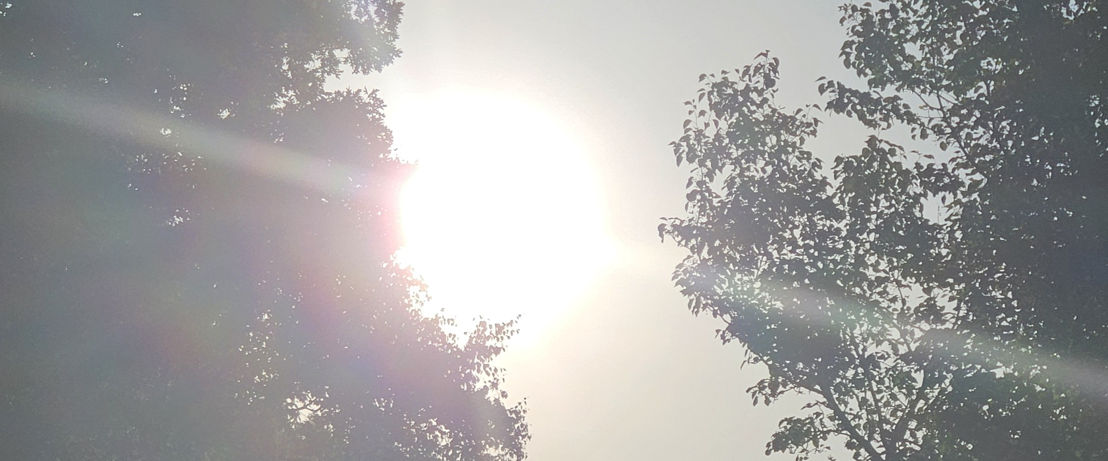 challenge background