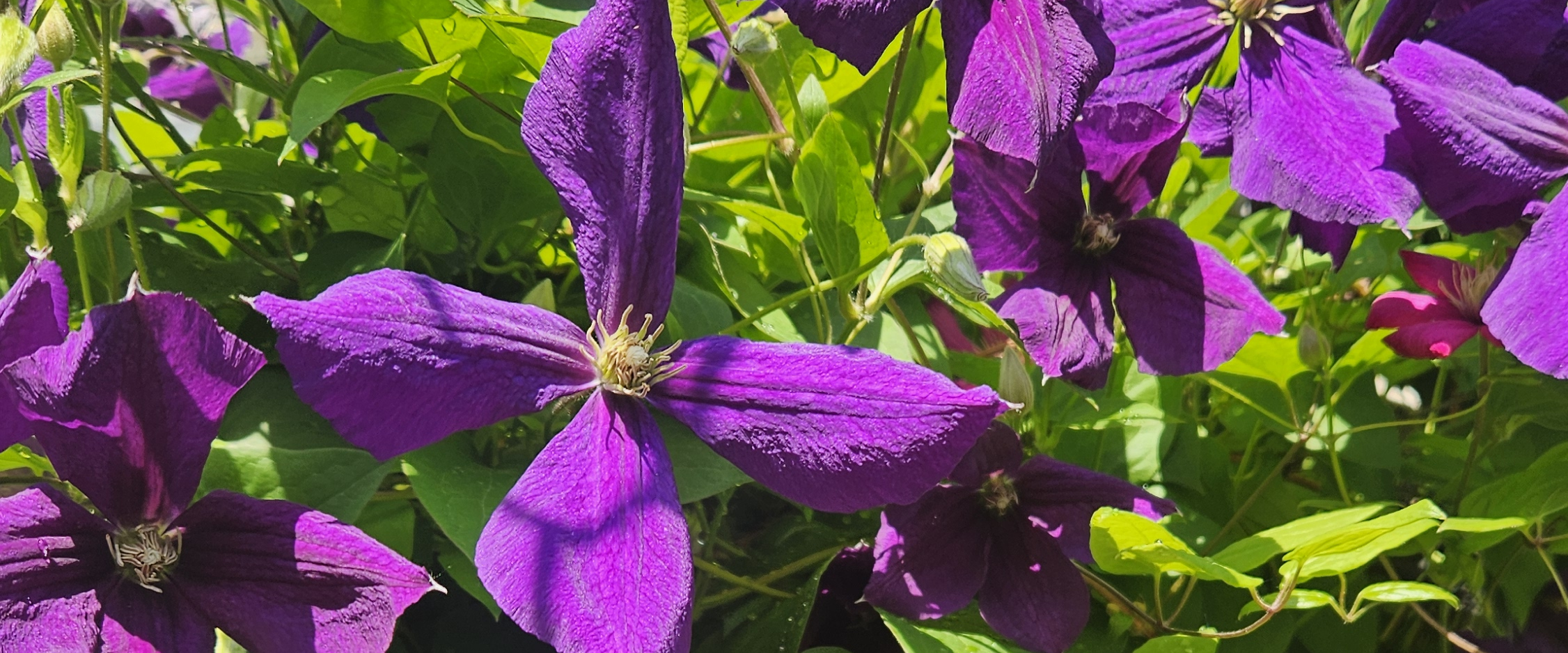 challenge background