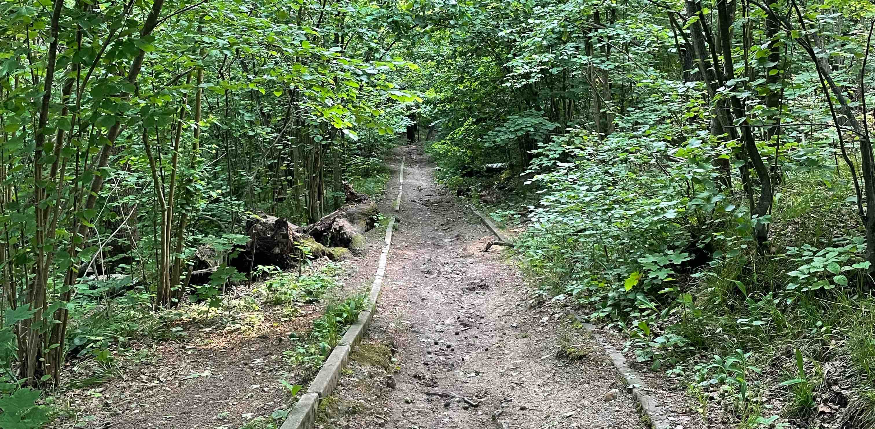 challenge background