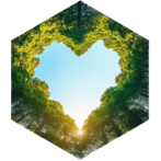 Tägliches Schrittziel - 10000 Schritte icon