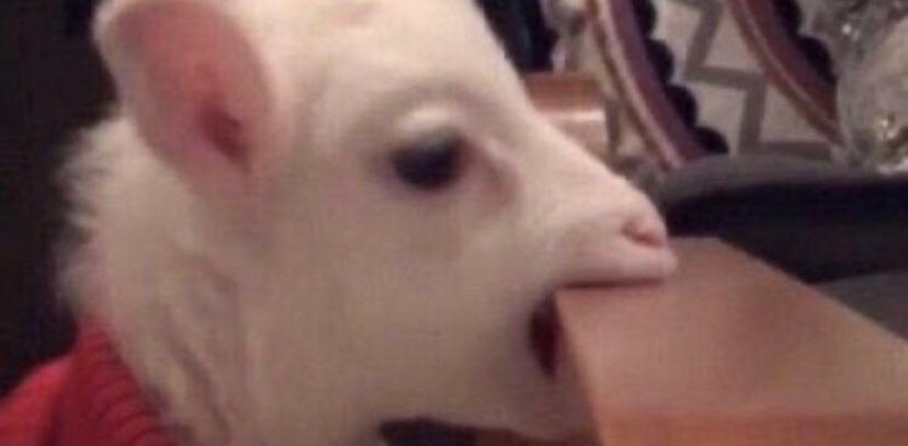 challenge background