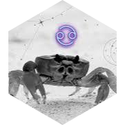 🦀10 000 🦀😉 Zodiaque du Cancer🦀 icon