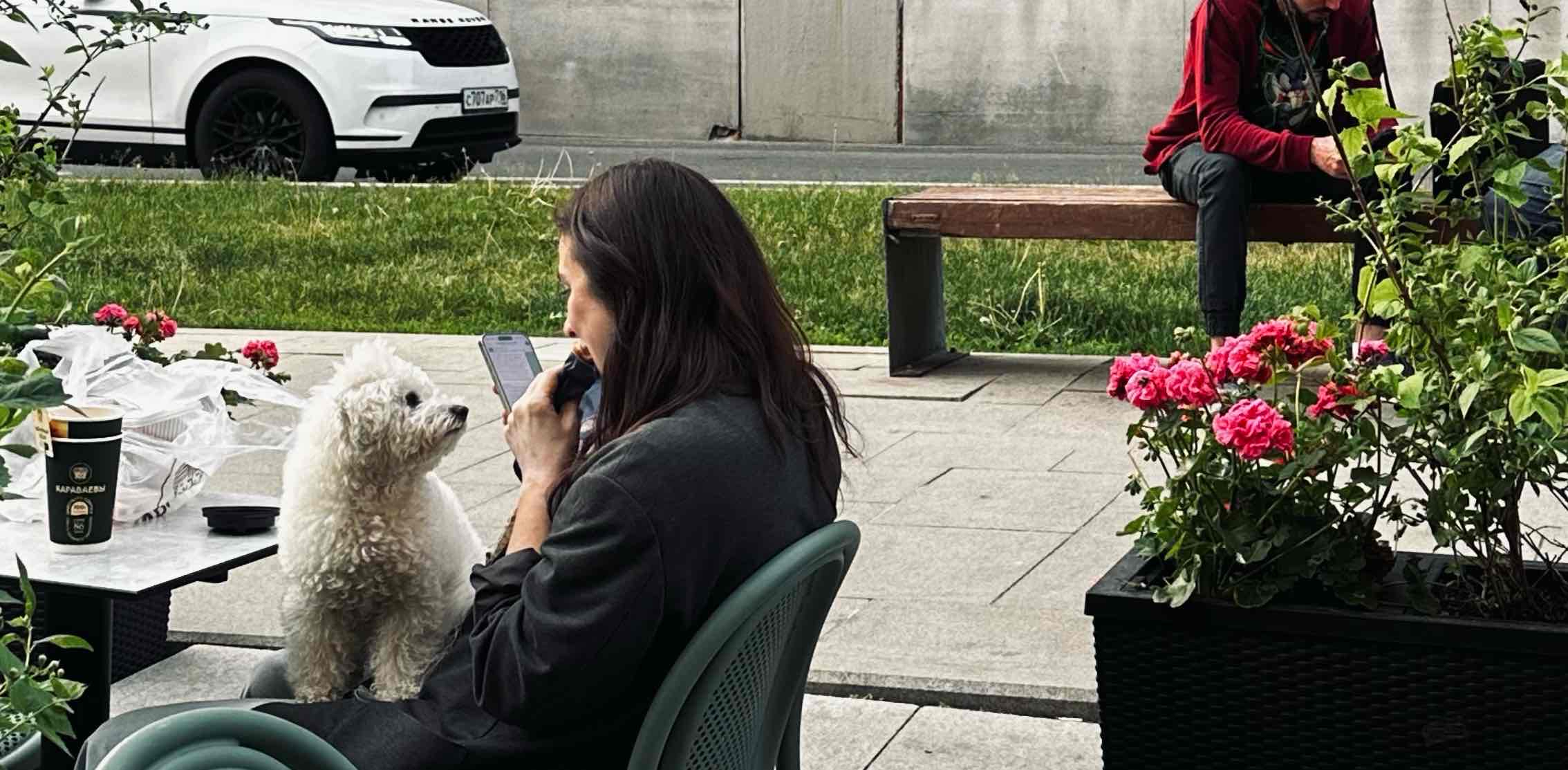 challenge background