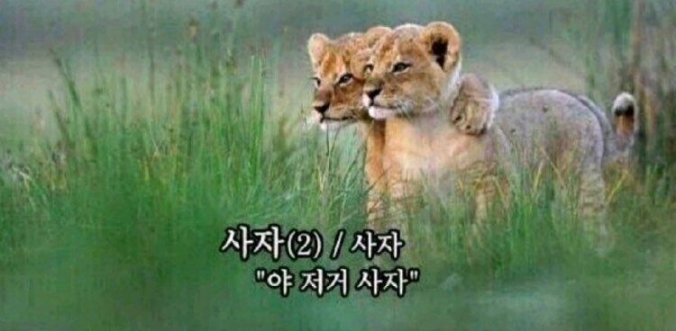 challenge background