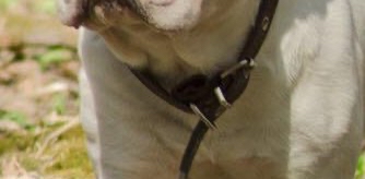 challenge background