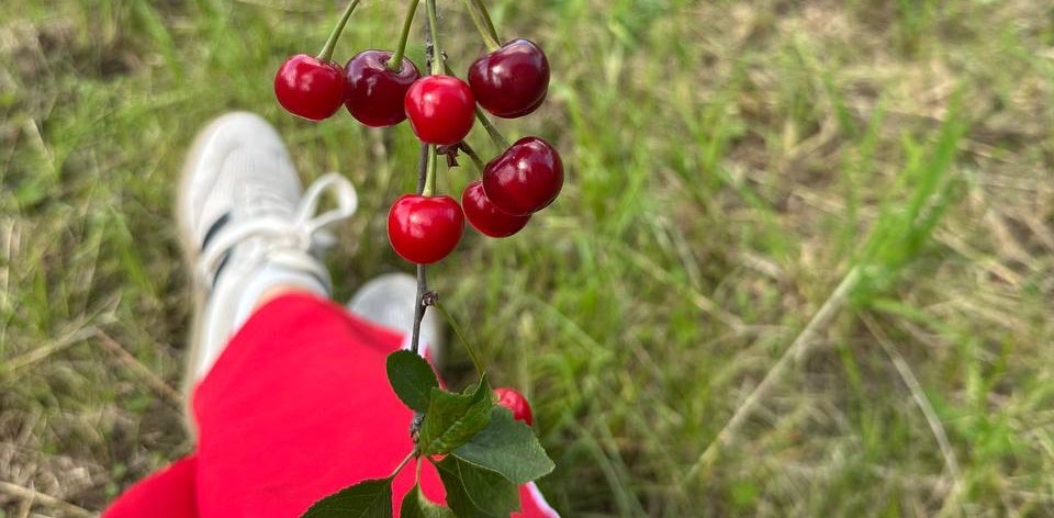 🍒ЧеРеШНеВаЯ ТаТьЯНКа🍒 logo