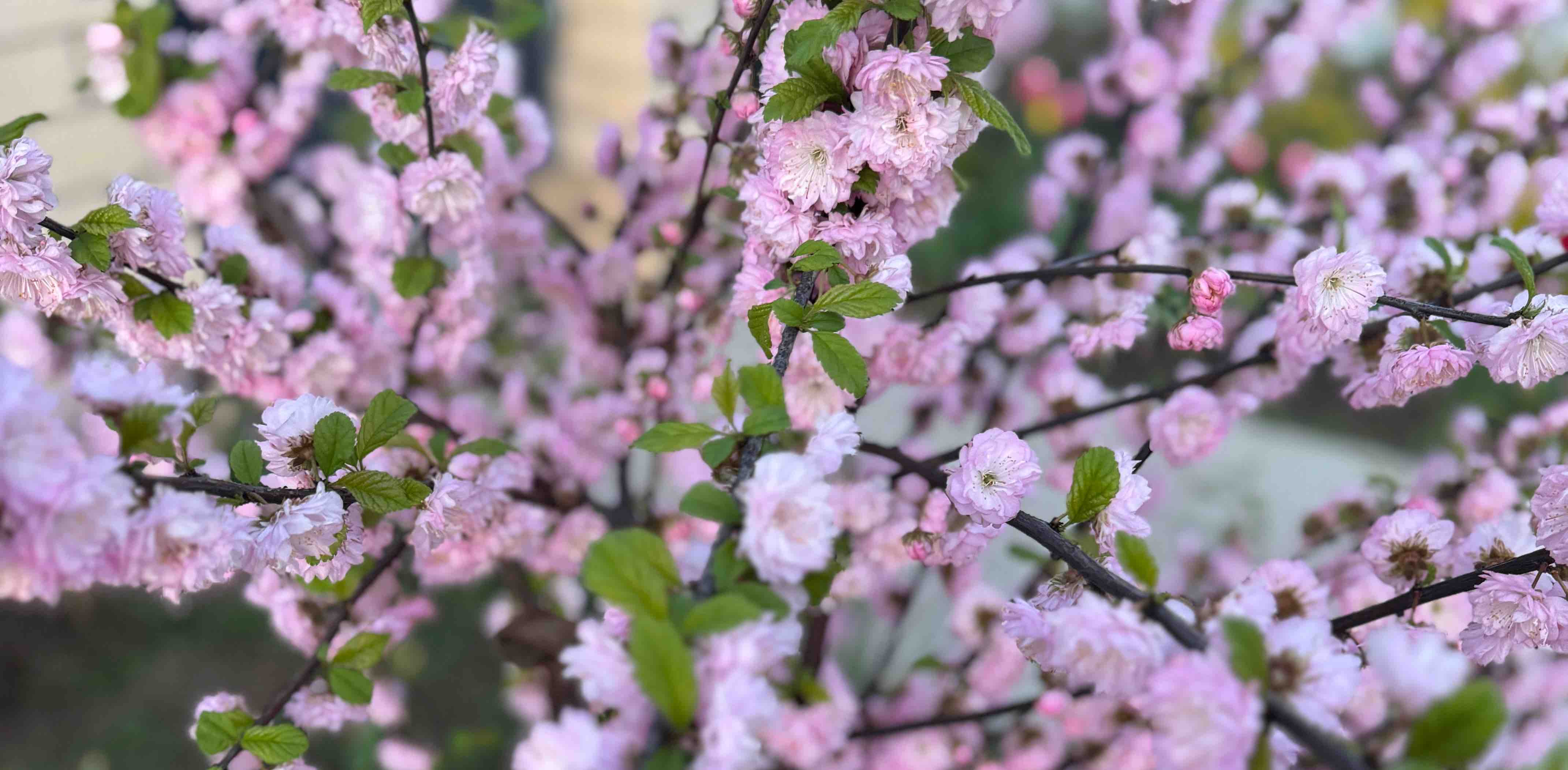 challenge background