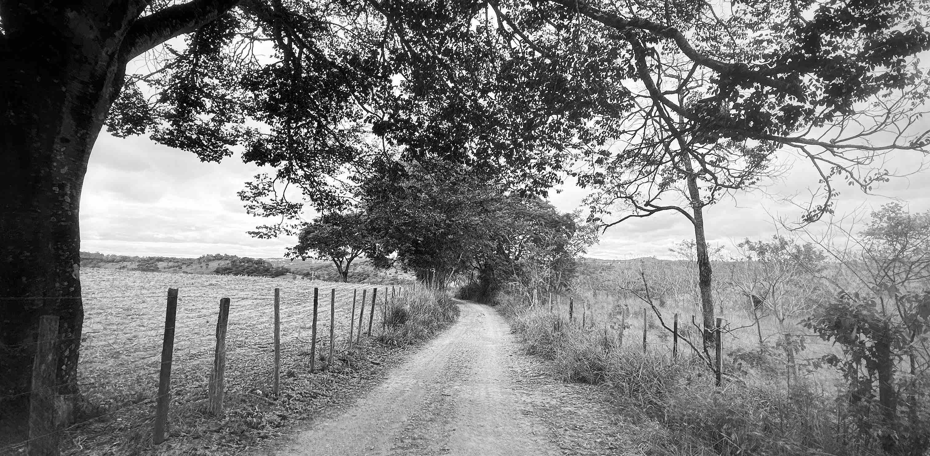 challenge background