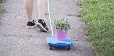 July 27 Take Your Houseplants for a Walk Day logo