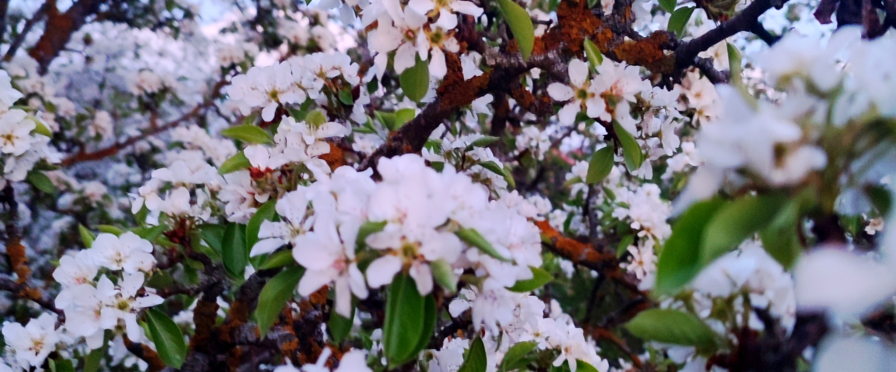 challenge background