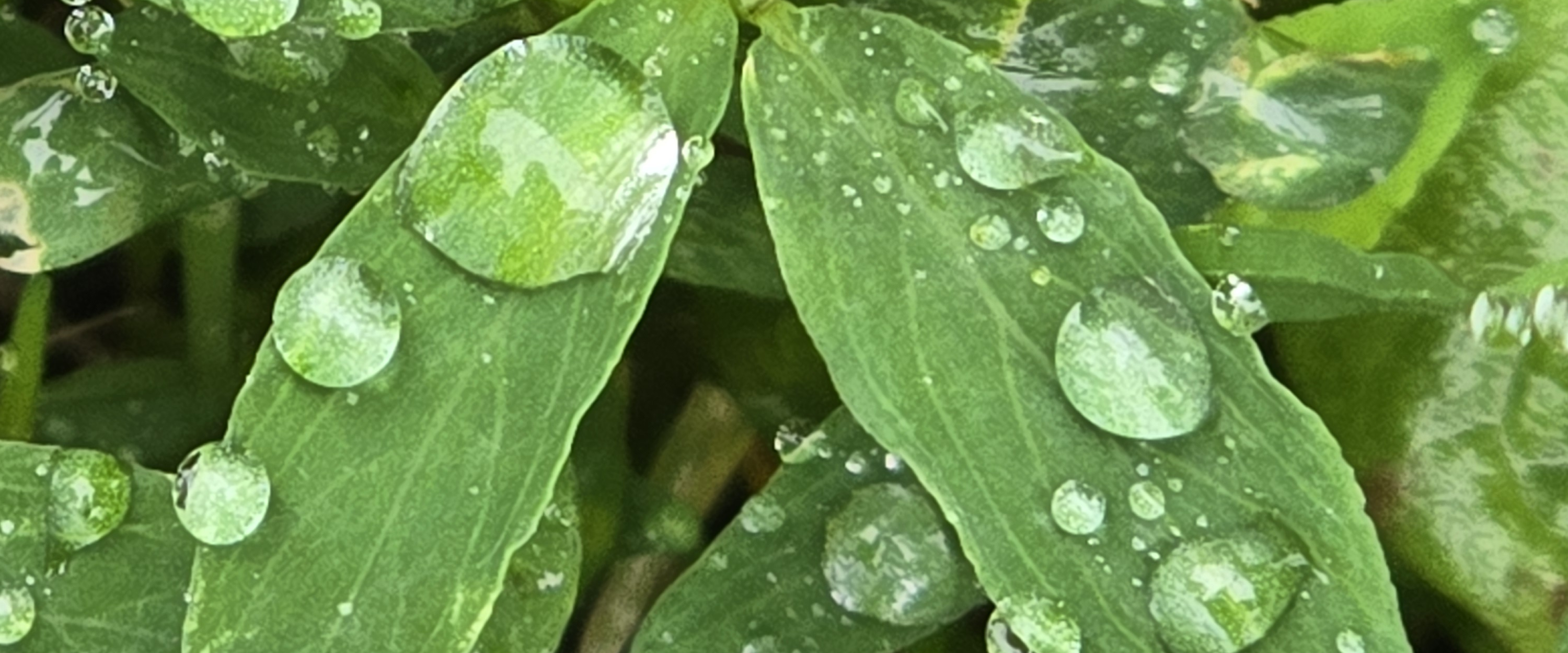 challenge background