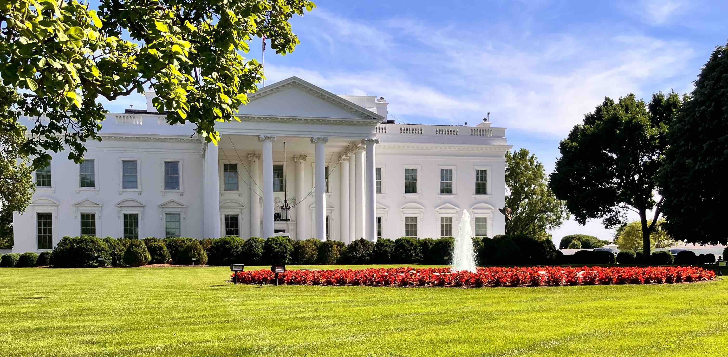 challenge background