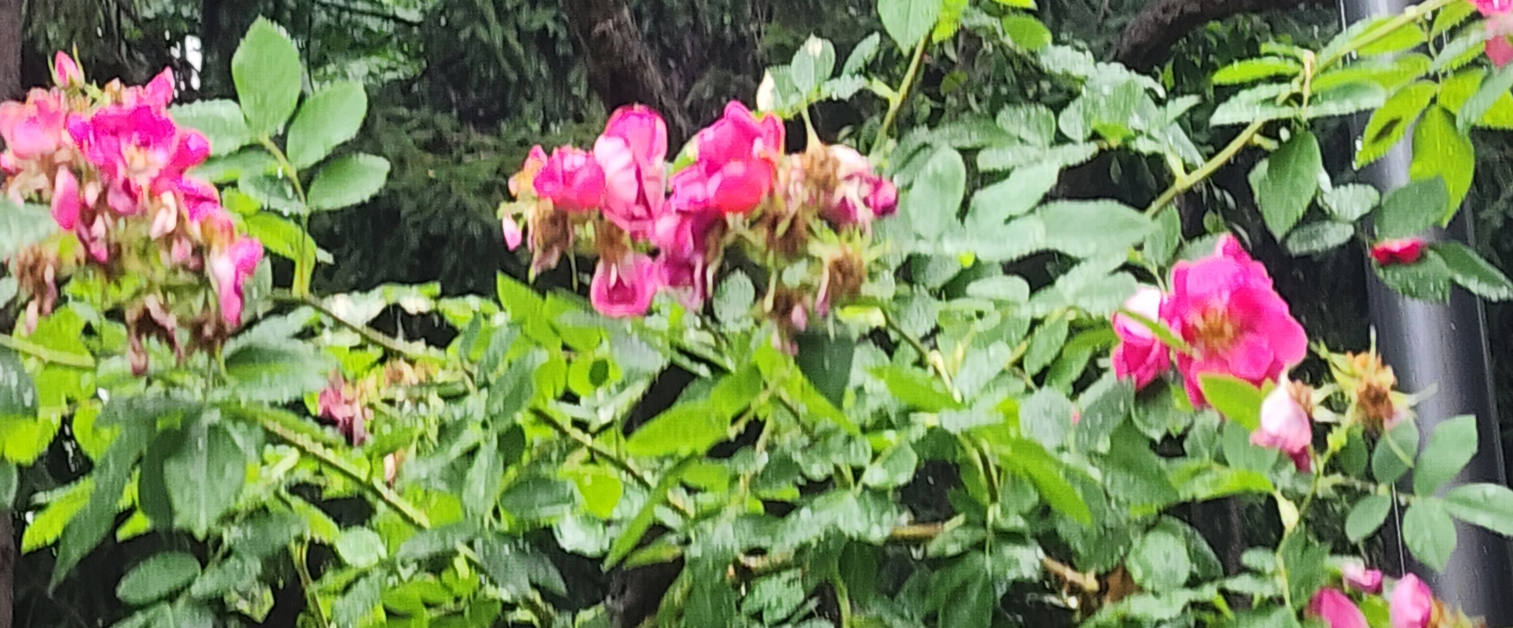 challenge background