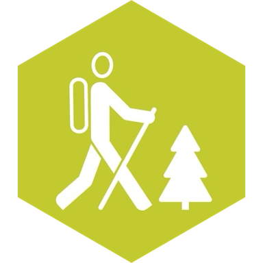 challenge badge