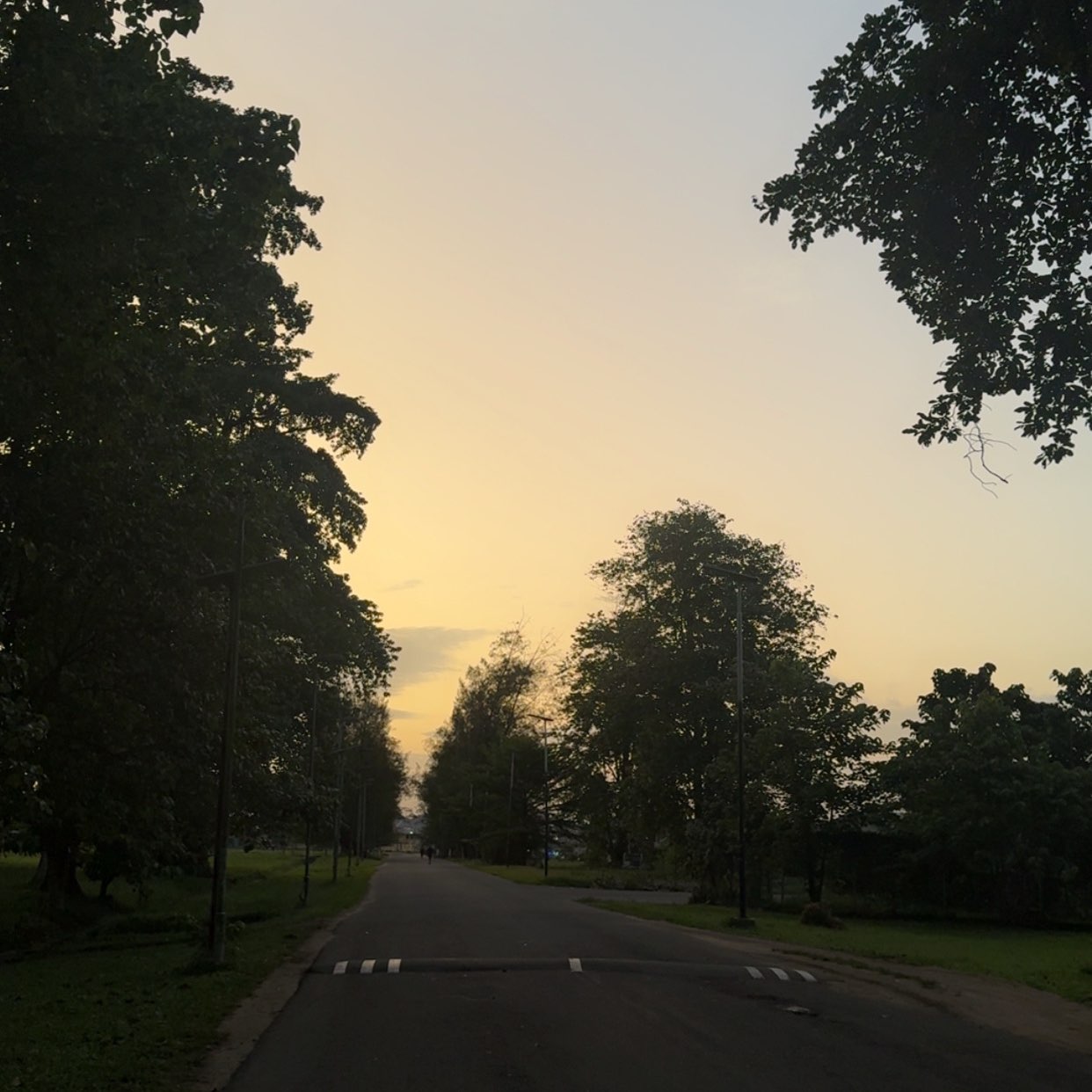 BY FIRE BY FORCE 🔥 logo