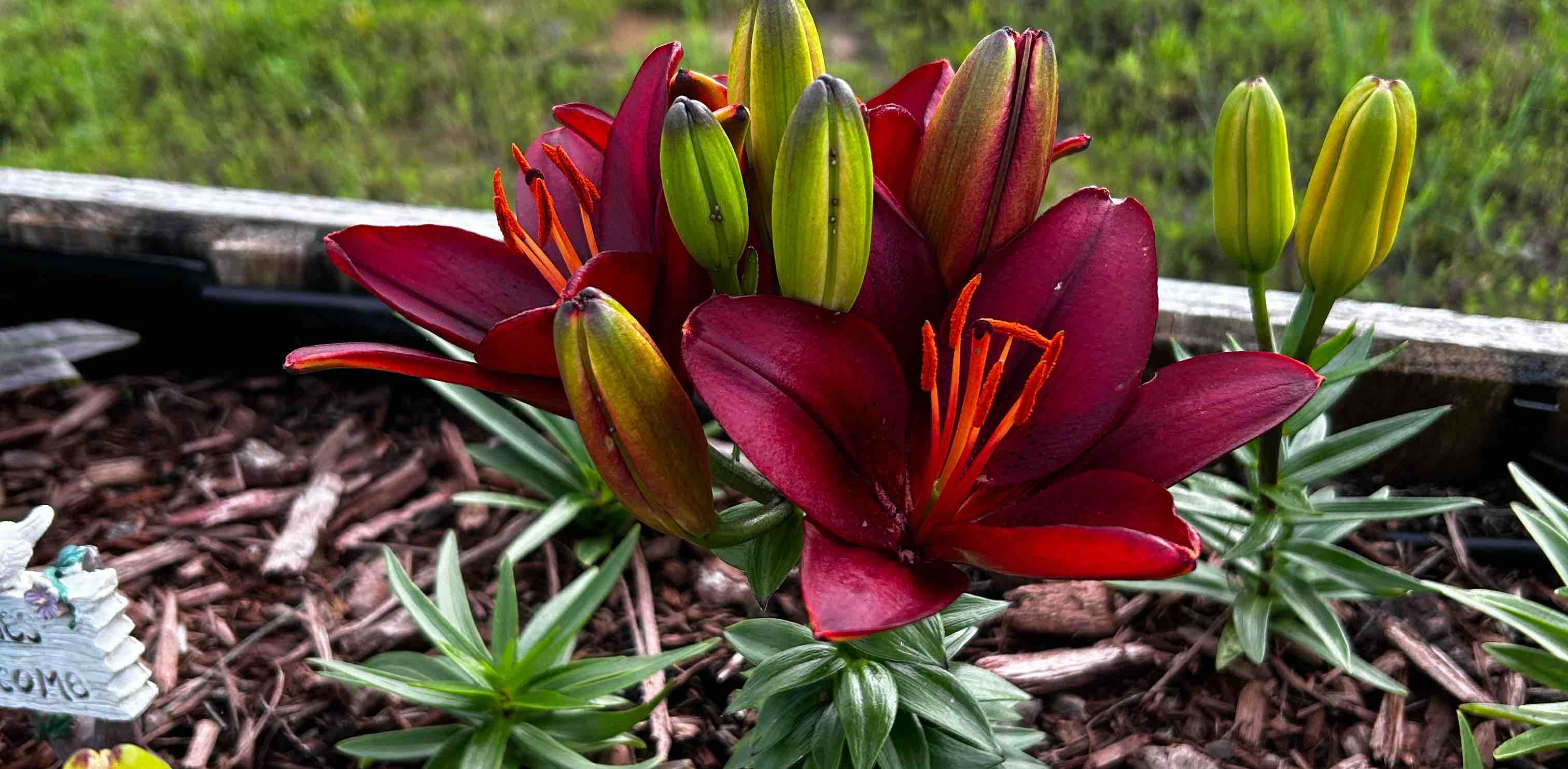 challenge background