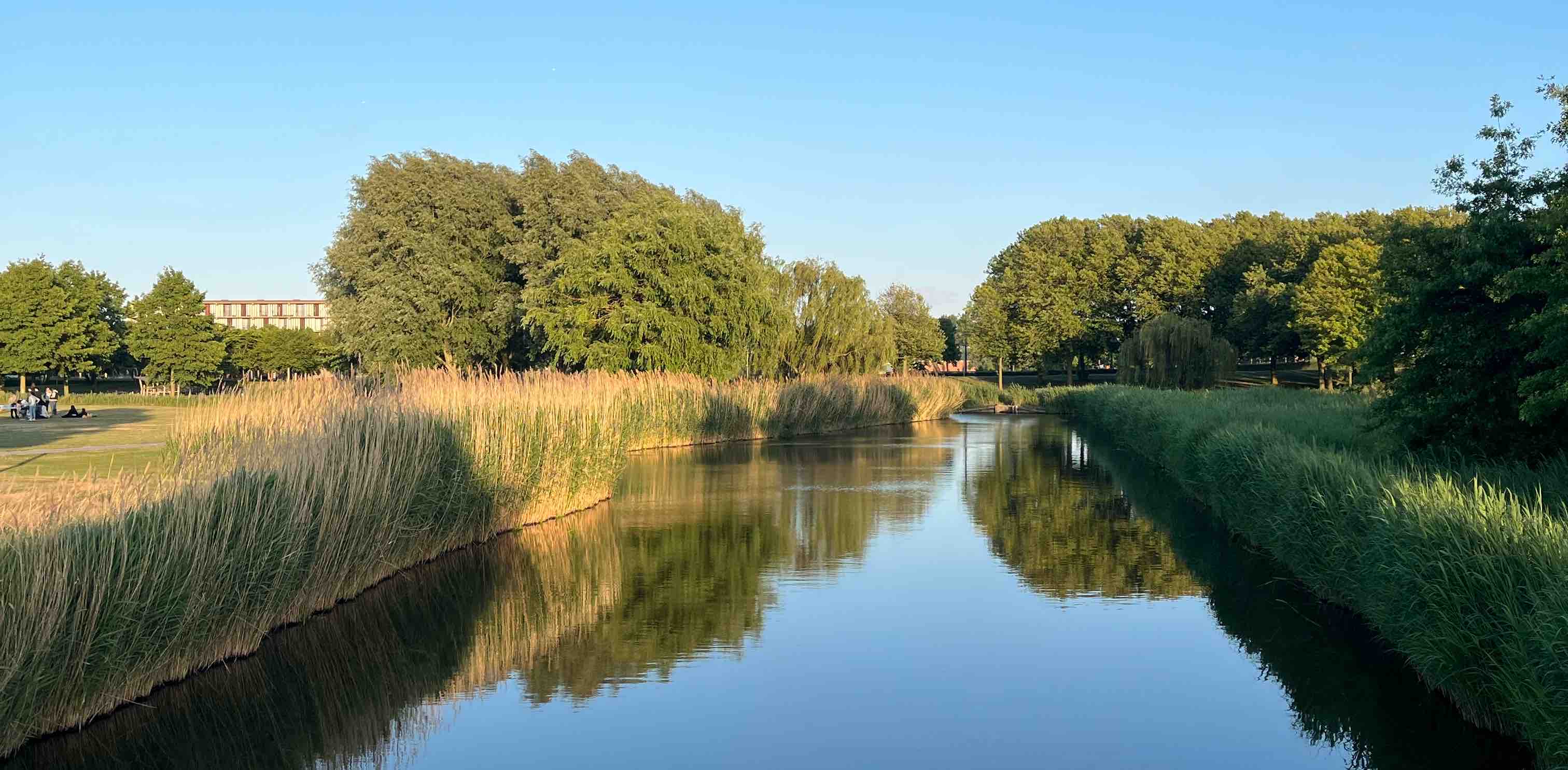 challenge background