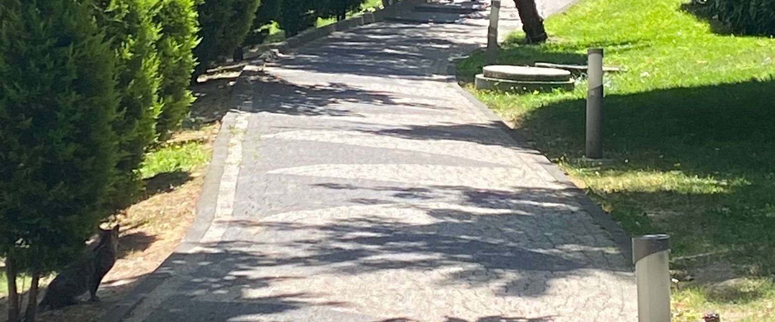 challenge background