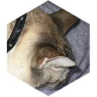 Amazing Weekly ๐๏ธ challenge 6/23 - 6/29 icon