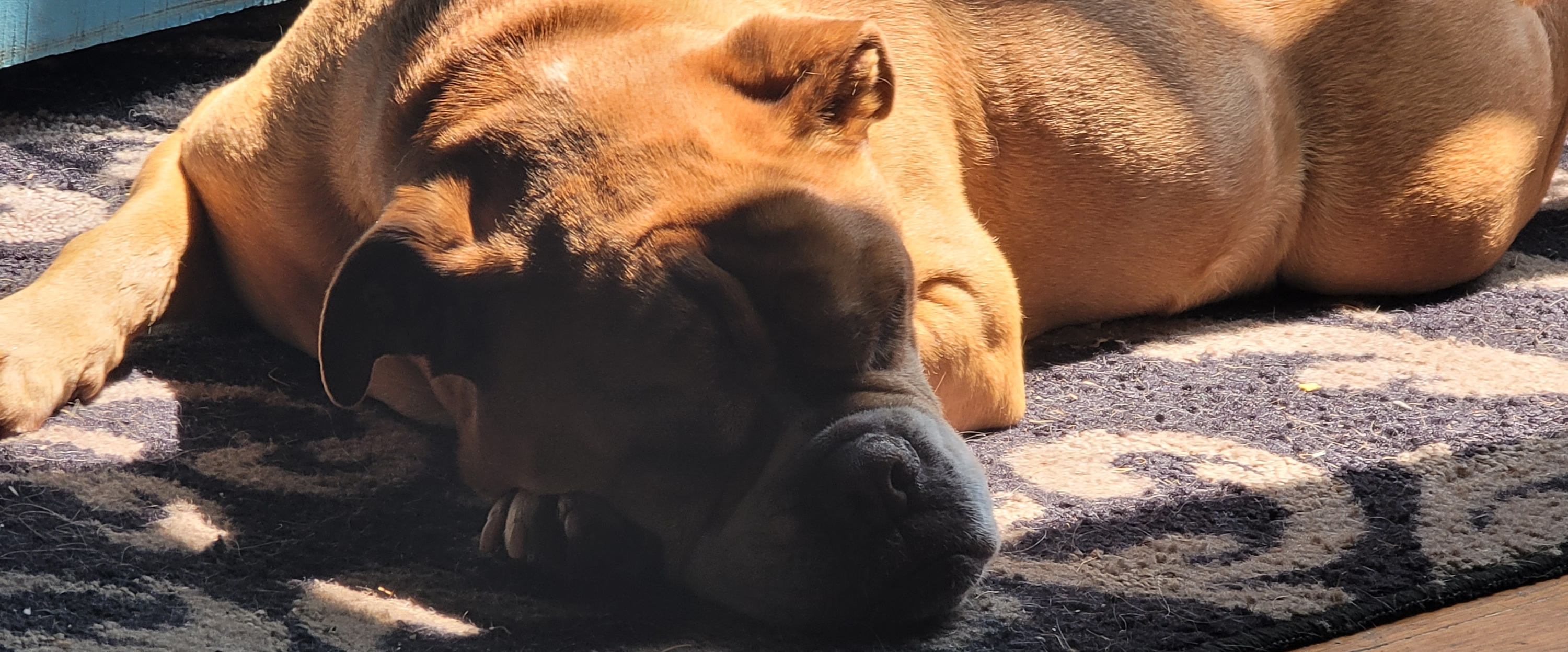 challenge background