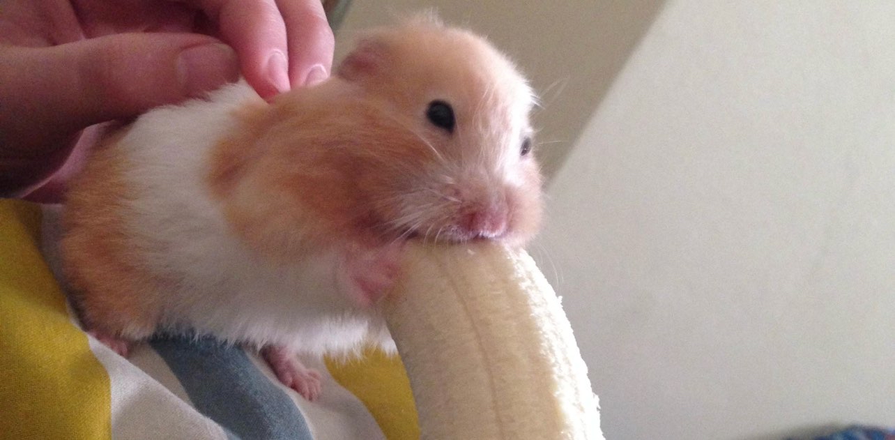 challenge background