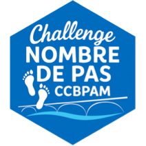 challenge badge