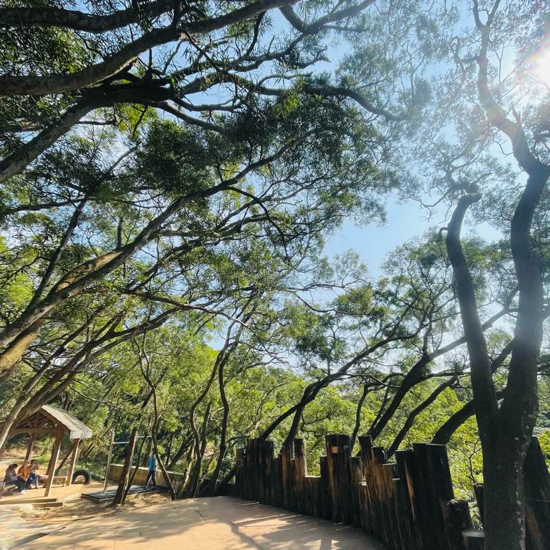 媽媽運動霸 logo