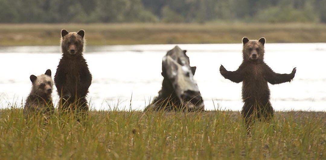 challenge background