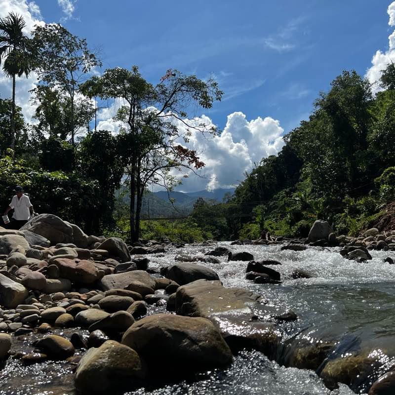 Ground Wild Wanderers logo