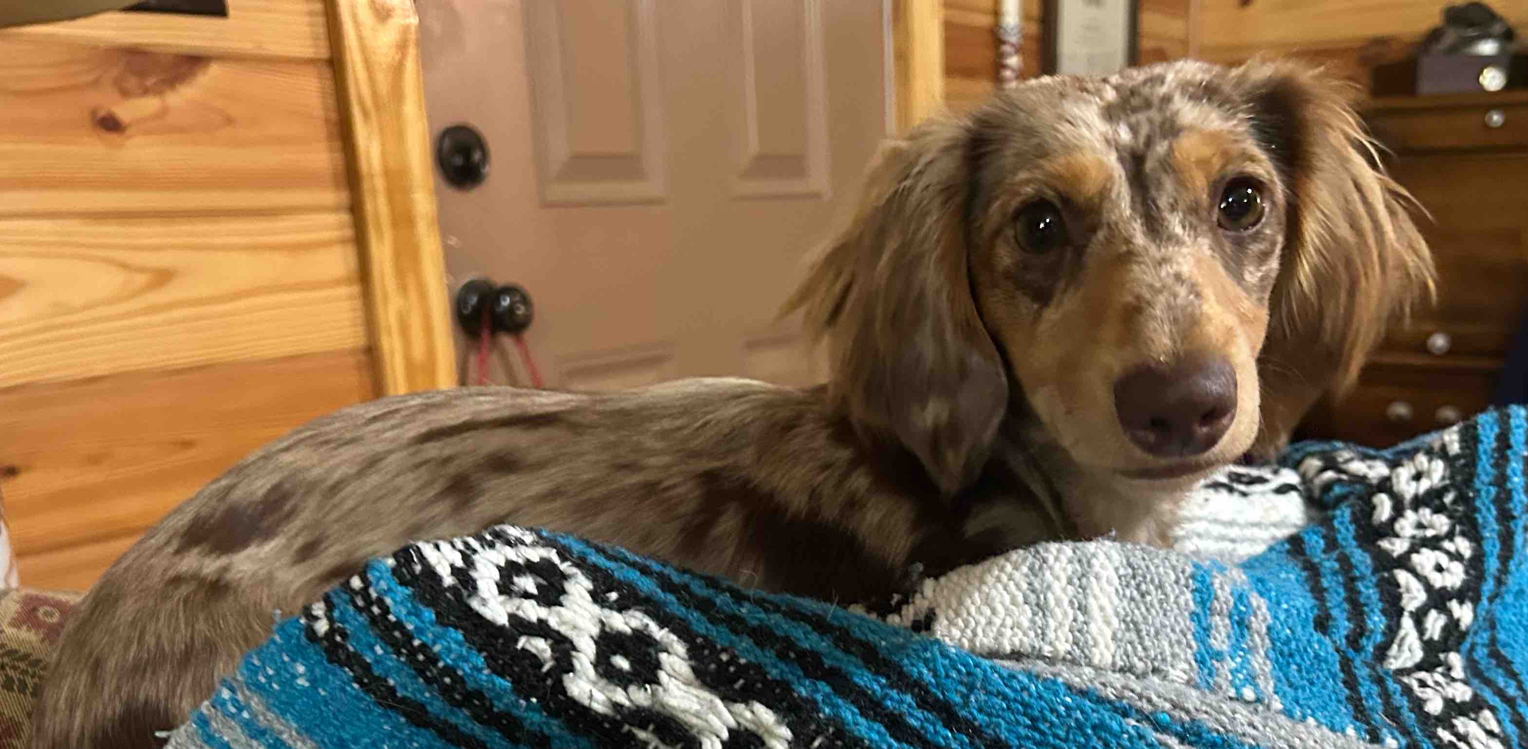 challenge background