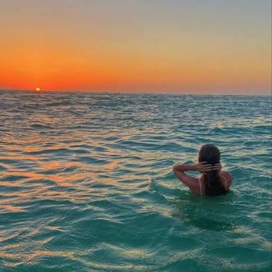 Summer Shred Steps logo