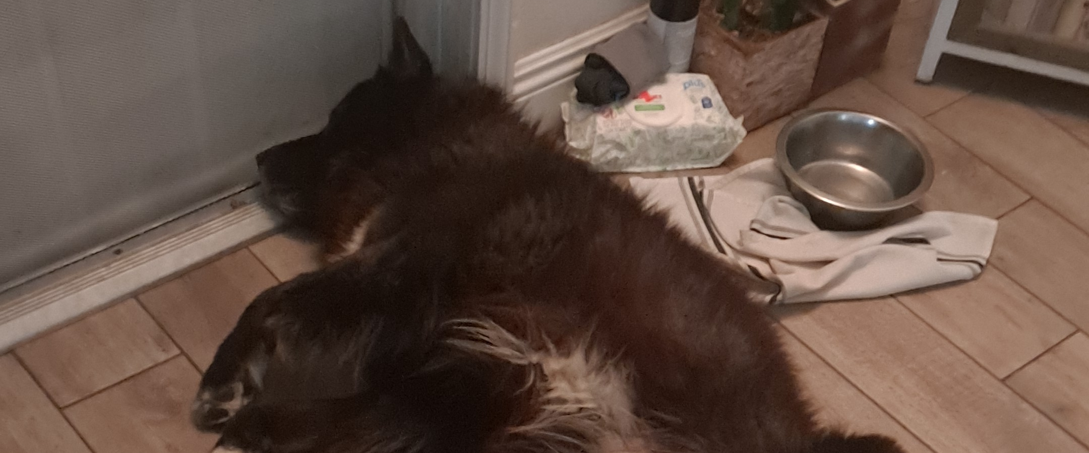 challenge background